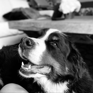 Meet your Posher, Lucie